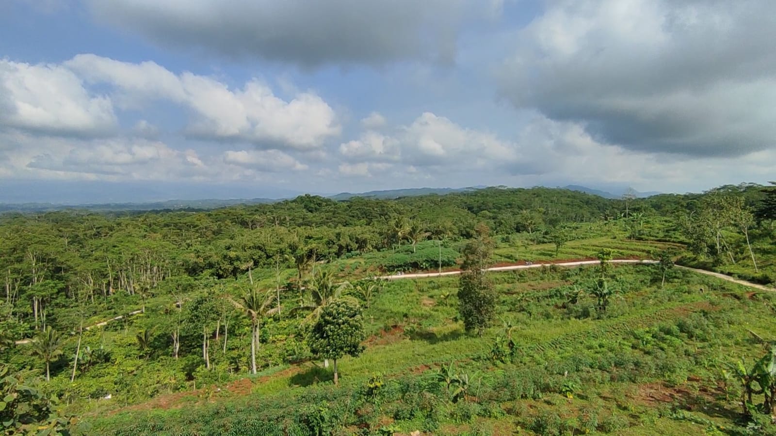 Wisata Alam Pangangonan Pasirjaya